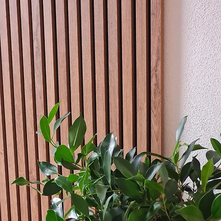 Apartament Alex *